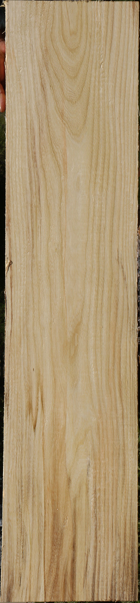 Spalted Hackberry Lumber