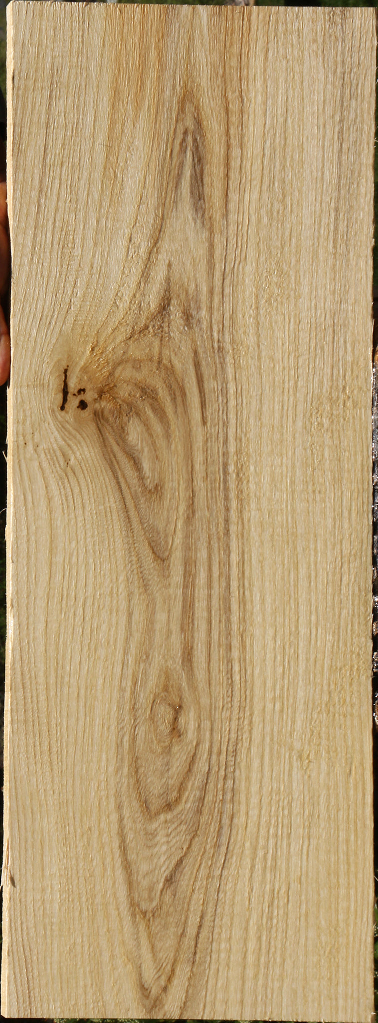 Spalted Hackberry Lumber