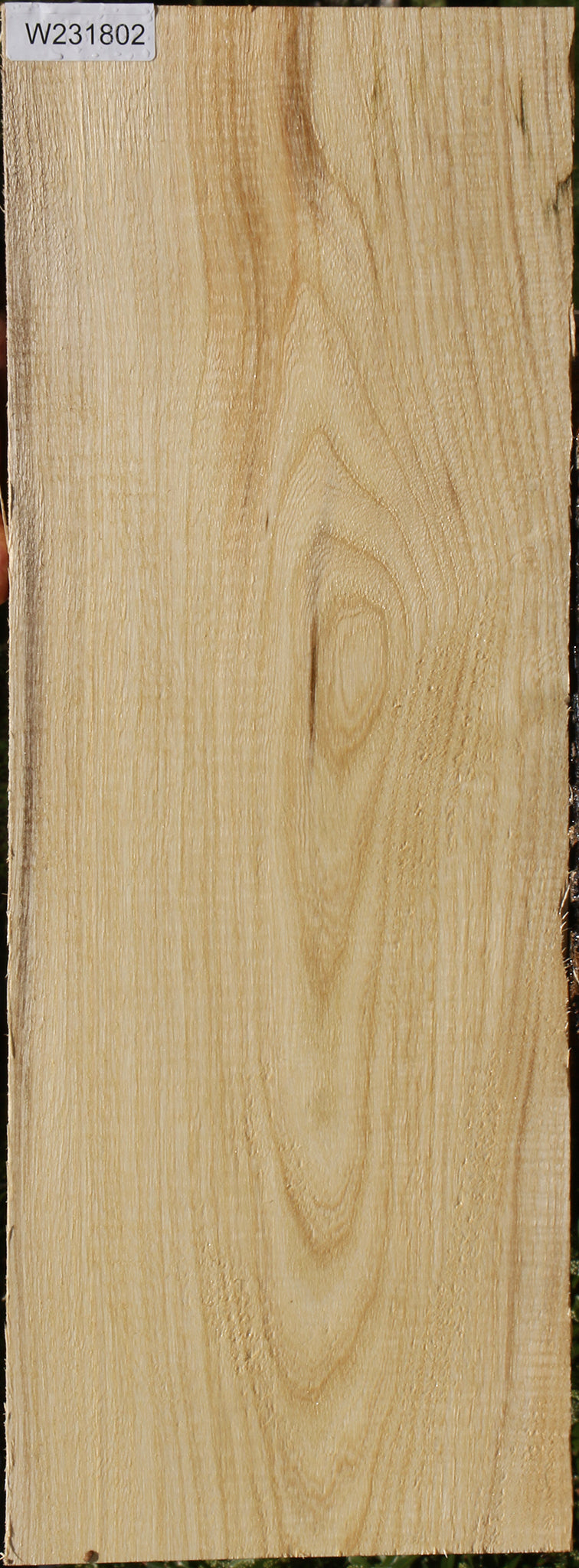 Spalted Hackberry Lumber