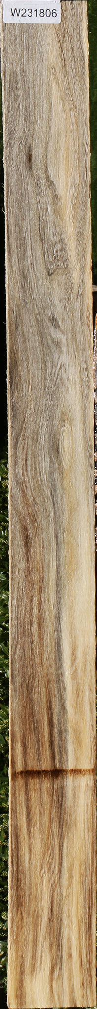 Spalted Hackberry Lumber – Cook Woods