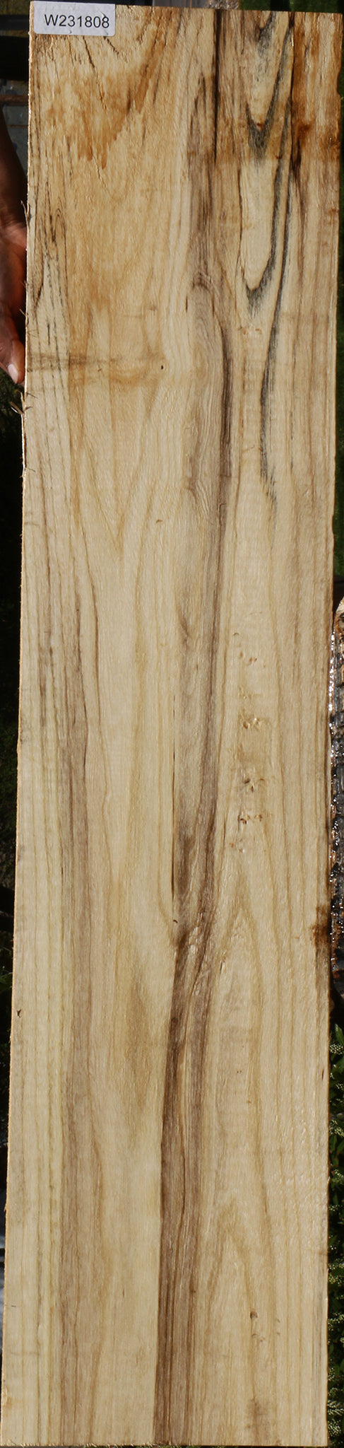 Spalted Hackberry Lumber