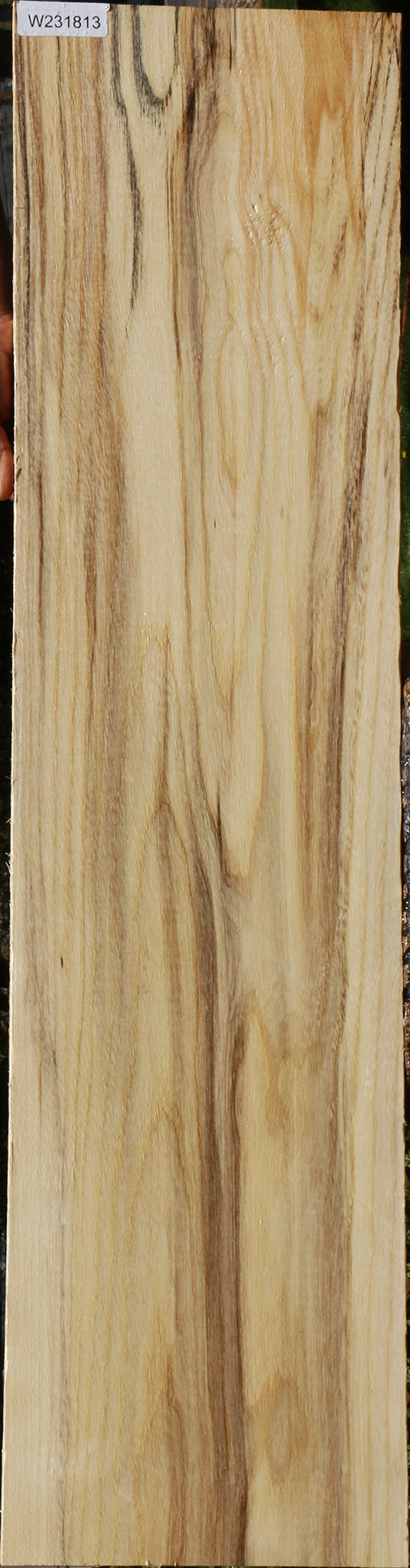 Figured Spalted Hackberry Lumber