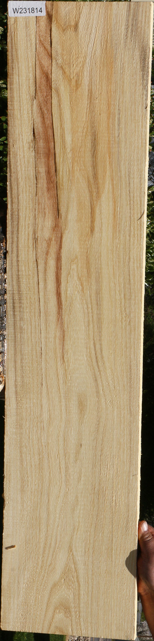 Spalted Hackberry Lumber – Cook Woods