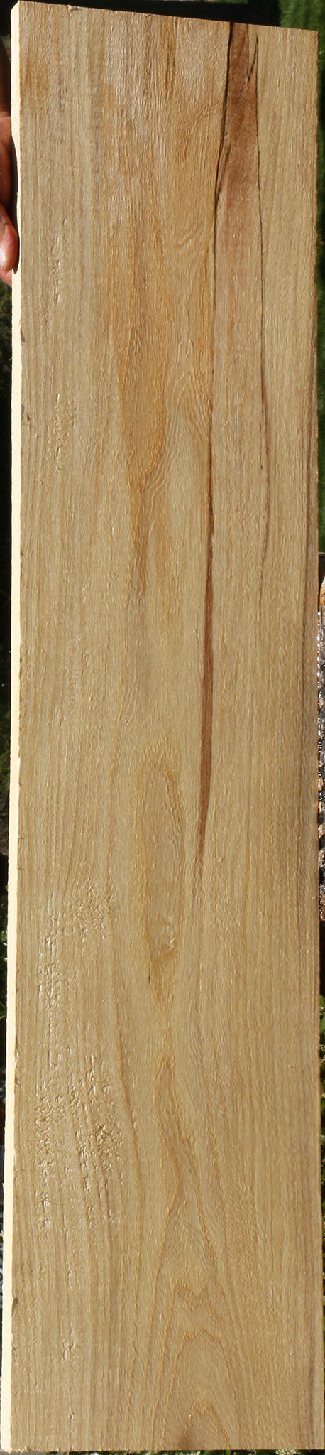 Spalted Hackberry Lumber