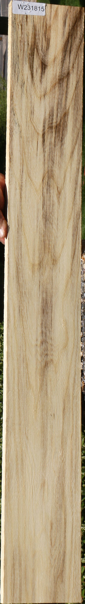 Spalted Hackberry Lumber