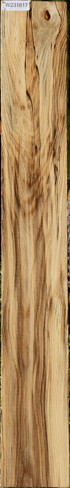 Hackberry Logs Hackberry – Cook Woods