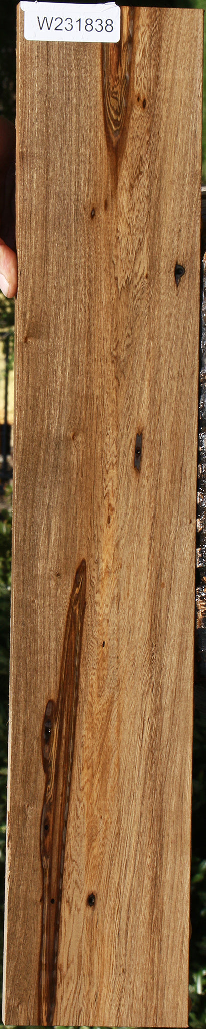 Spalted Louro Preto Lumber