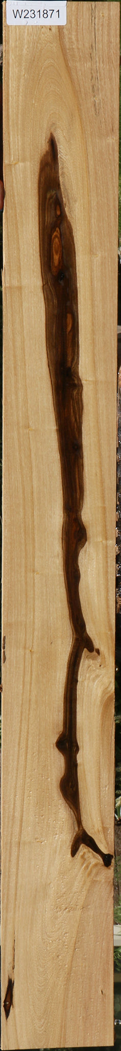 Louro Preto Micro Lumber