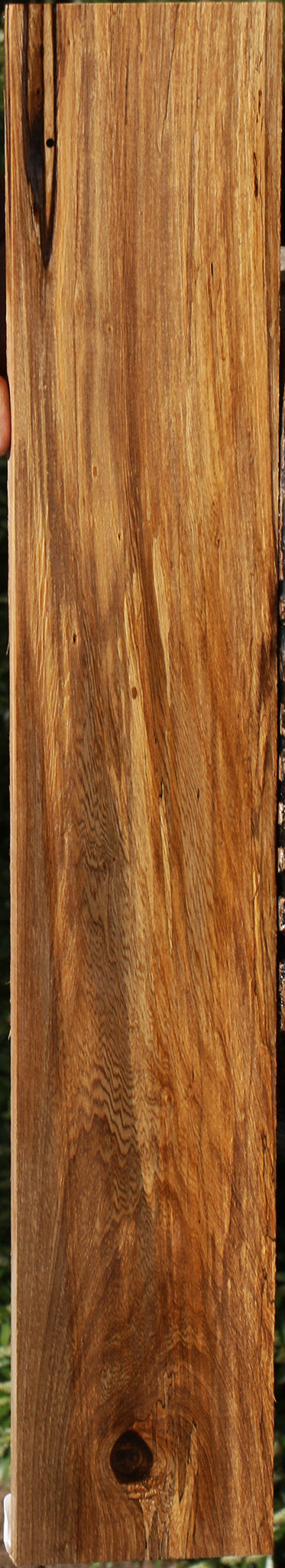 Spalted Louro Preto Lumber