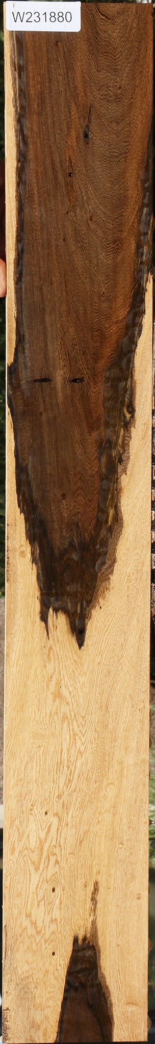 Extra Fancy Louro Preto Lumber