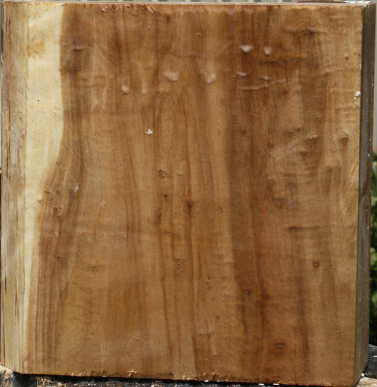 California Cottonwood Bowl Blank