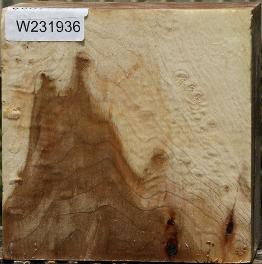 California Cottonwood Bowl Blank