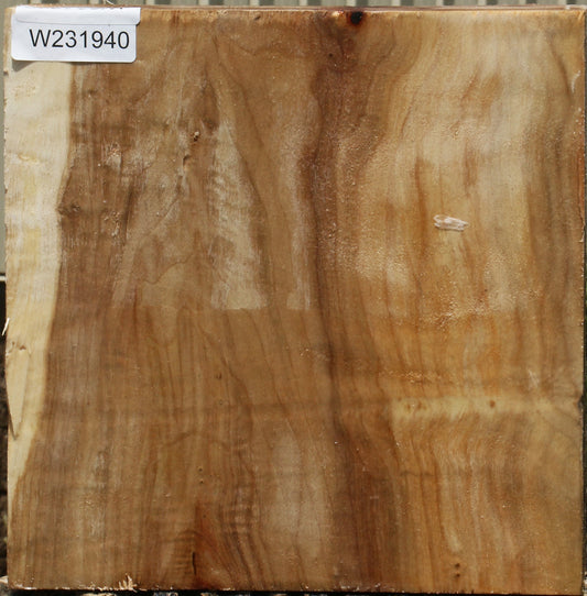 California Cottonwood Bowl Blank