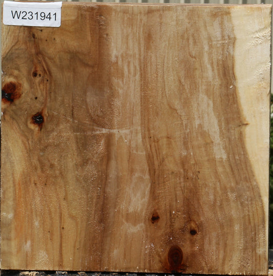 California Cottonwood Bowl Blank