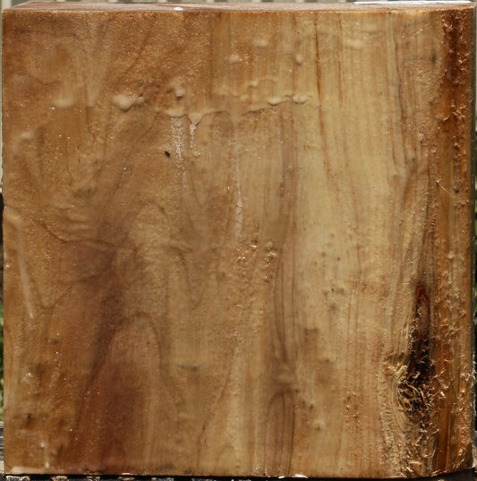 California Cottonwood Bowl Blank