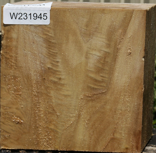 California Cottonwood Bowl Blank