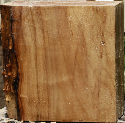 California Cottonwood Bowl Blank