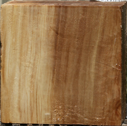 California Cottonwood Bowl Blank