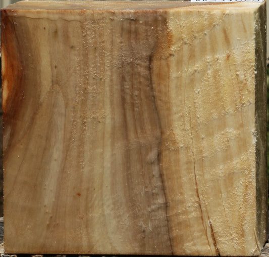 California Cottonwood Bowl Blank