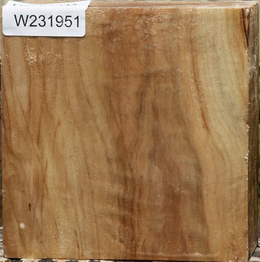 California Cottonwood Bowl Blank