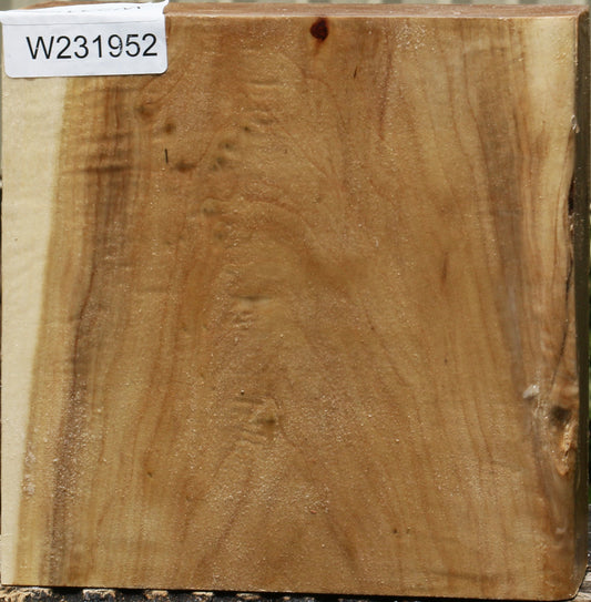 California Cottonwood Bowl Blank