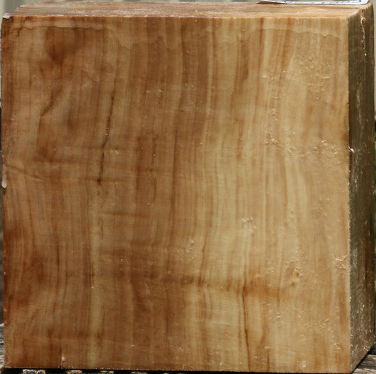 California Cottonwood Bowl Blank