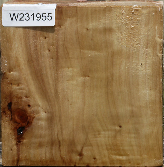 California Cottonwood Bowl Blank