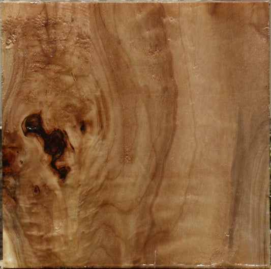 California Cottonwood Bowl Blank