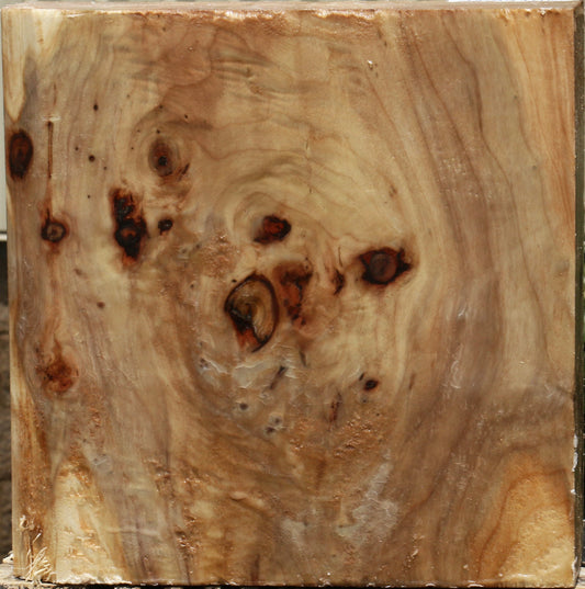 California Cottonwood Bowl Blank