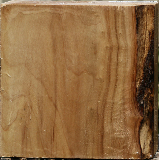 California Cottonwood Bowl Blank