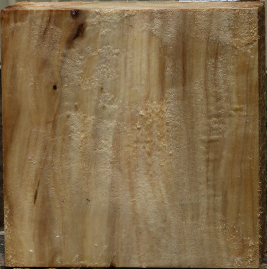 California Cottonwood Bowl Blank