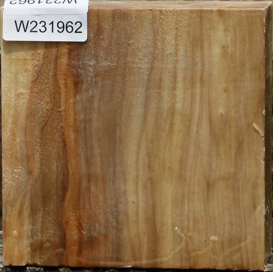 California Cottonwood Bowl Blank