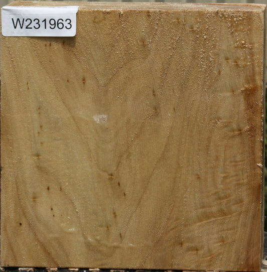 California Cottonwood Bowl Blank