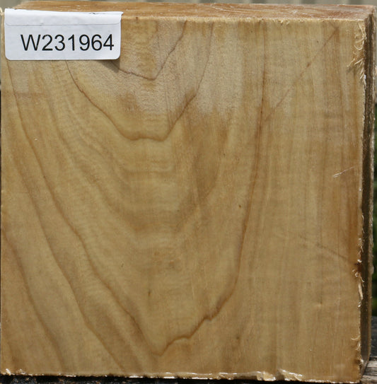 California Cottonwood Bowl Blank