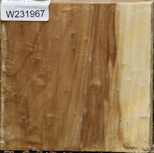 California Cottonwood Bowl Blank