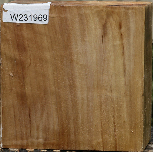 California Cottonwood Bowl Blank