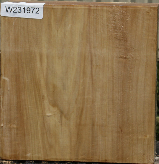 California Cottonwood Bowl Blank