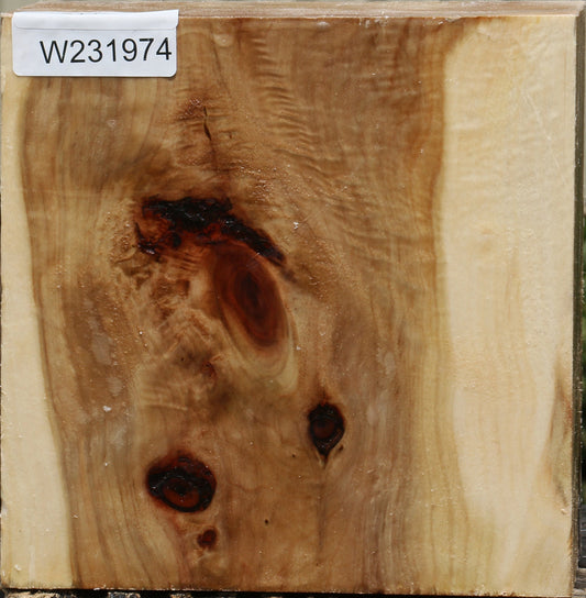 California Cottonwood Bowl Blank