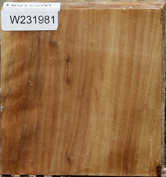 California Cottonwood Bowl Blank