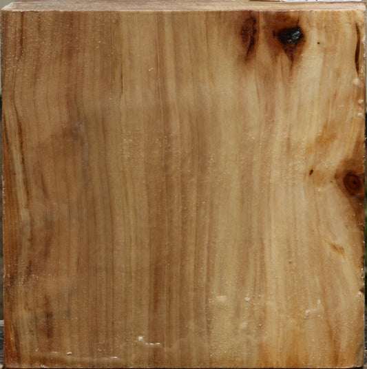 California Cottonwood Bowl Blank