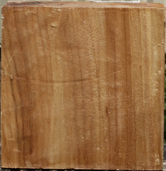 California Cottonwood Bowl Blank