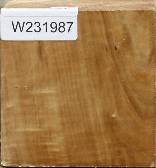 California Cottonwood Bowl Blank