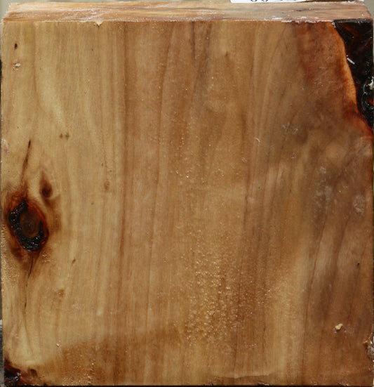 California Cottonwood Bowl Blank