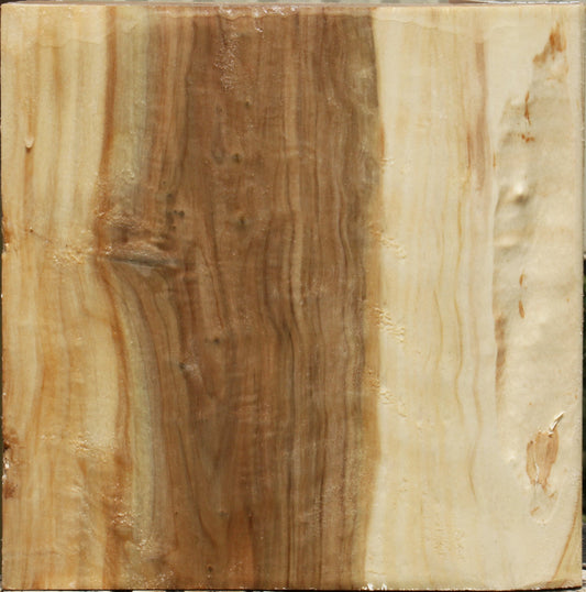 California Cottonwood Bowl Blank