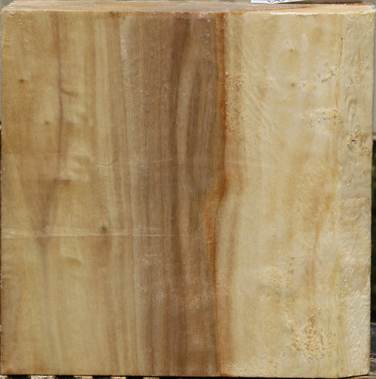 California Cottonwood Bowl Blank