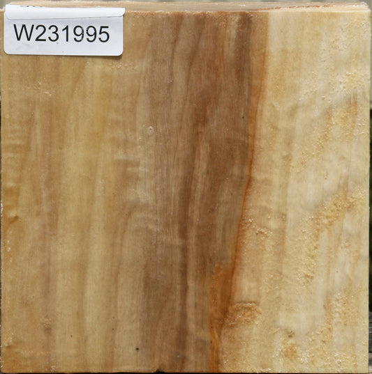 California Cottonwood Bowl Blank