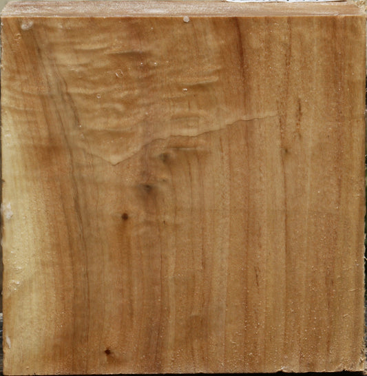 California Cottonwood Bowl Blank