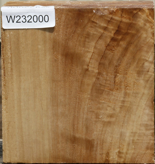 California Cottonwood Bowl Blank