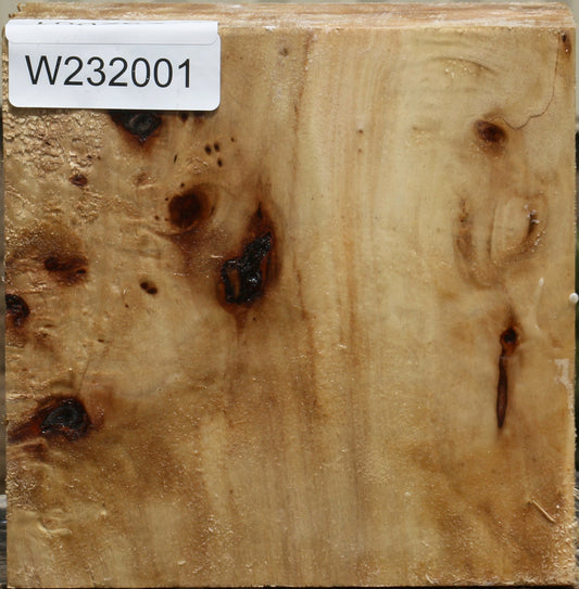 California Cottonwood Bowl Blank