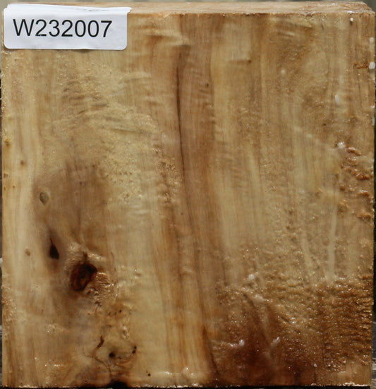 California Cottonwood Bowl Blank